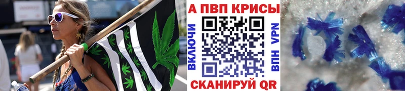 kraken ССЫЛКА  Черноголовка  Alpha PVP СК 