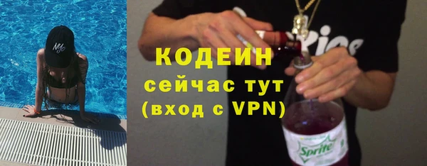 хмурый Алексин