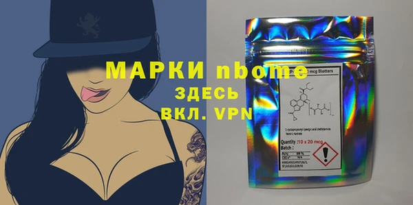 хмурый Алексин