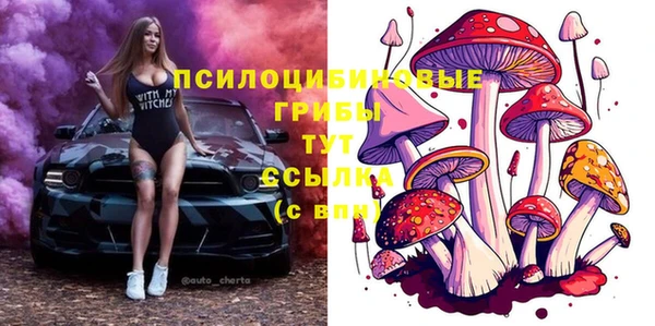 мдпв Абинск