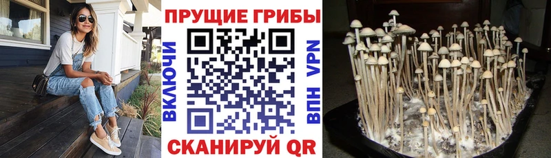 где продают   Черноголовка  MEGA маркетплейс  Галлюциногенные грибы мухоморы 